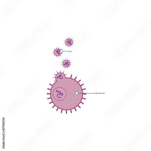Diagram of virus and virus infected cell - schematic simple illustration. skeletal structure diagram. compound molecule scientific illustration.