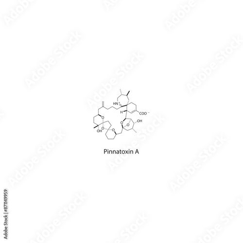 Pinnatoxin A skeletal structure diagram.marine toxin compound molecule scientific illustration. photo