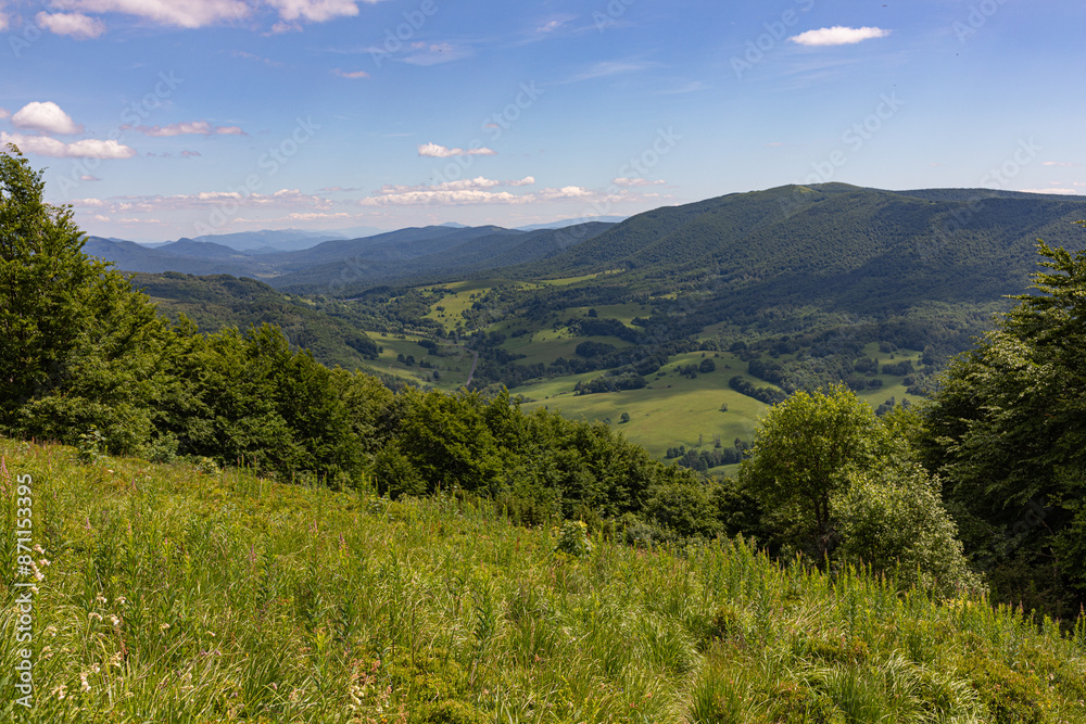 Naklejka premium View of the Bieszczady Mountains from Połonina Wetlińska. Summer in the Bieszczady mountains. Polish Mountains.