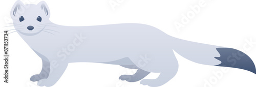 Stoat or Eurasian ermine realistic vector illustration. Cute weasel color graphic isolated on white background. Arctic animal.