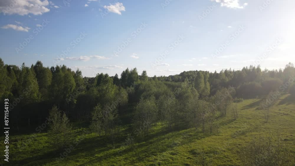 beautiful nature at the beginning of summer at the moment of evening sunset. 4k video of excellent quality, unique material for design and creation of works beautiful nature at the beginning of summer at the moment of evening sunset. 4k video of excellent quality, unique material for design and creation of works