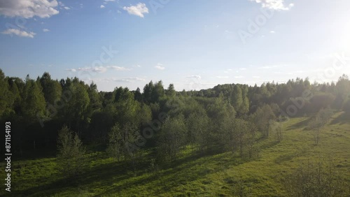 beautiful nature at the beginning of summer at the moment of evening sunset. 4k video of excellent quality, unique material for design and creation of works