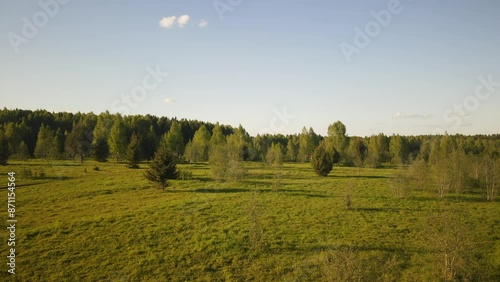 beautiful nature at the beginning of summer at the moment of evening sunset. 4k video of excellent quality, unique material for design and creation of works