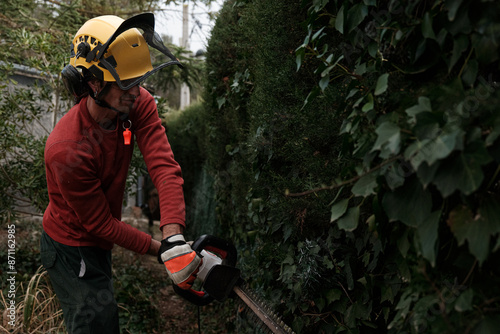 gardener pruning hedges photo