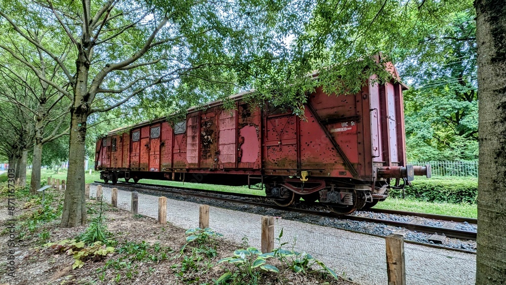 Fototapeta premium LYON (Rhône)
