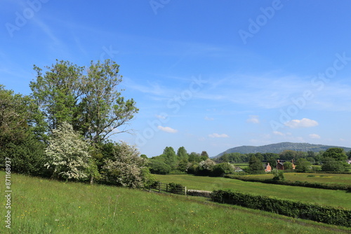 Summertime scenery in the English countryside.