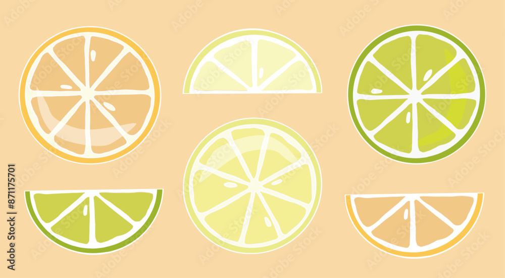 A bright juicy piece and a slice of citrus orange, lemon, lime. A bright juicy piece and a slice of citrus orange, lemon, lime.