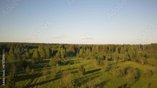 beautiful nature at the beginning of summer at the moment of evening sunset. 4k video of excellent quality, unique material for design and creation of works