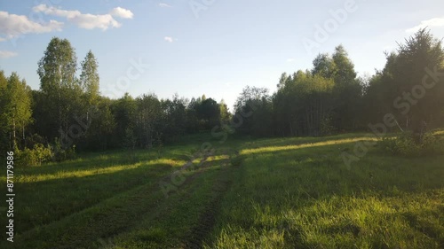 beautiful nature at the beginning of summer at the moment of evening sunset. 4k video of excellent quality, unique material for design and creation of works