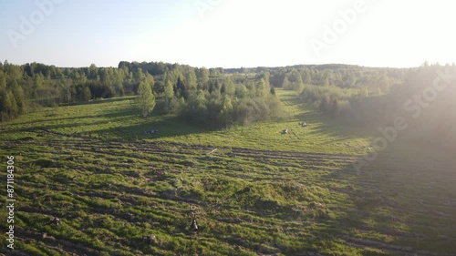 beautiful nature at the beginning of summer at the moment of evening sunset. 4k video of excellent quality, unique material for design and creation of works