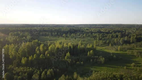 beautiful nature at the beginning of summer at the moment of evening sunset. 4k video of excellent quality, unique material for design and creation of works