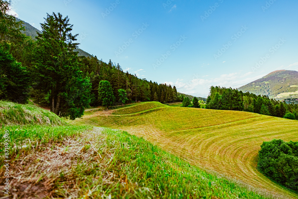 Beautiful Green Pasture Field Hillside near a Forest Beautiful Green Pasture Field Hillside near a Forest