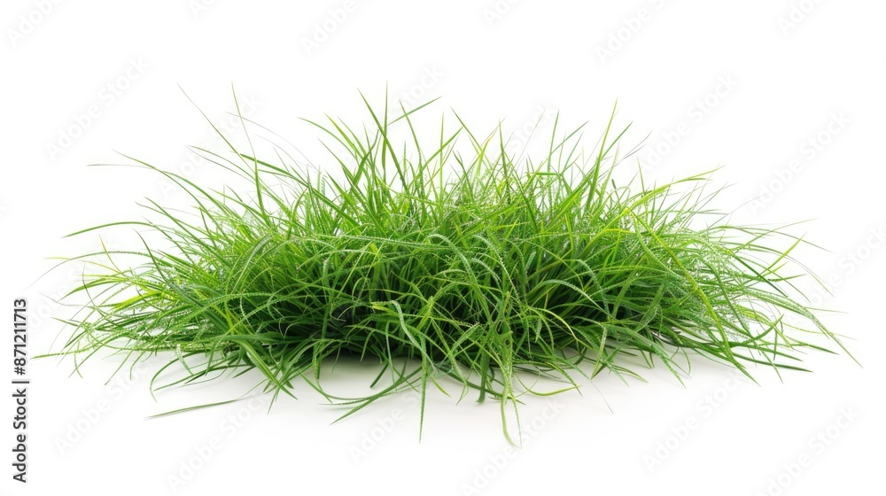 A pile of fresh green grass on a white surface