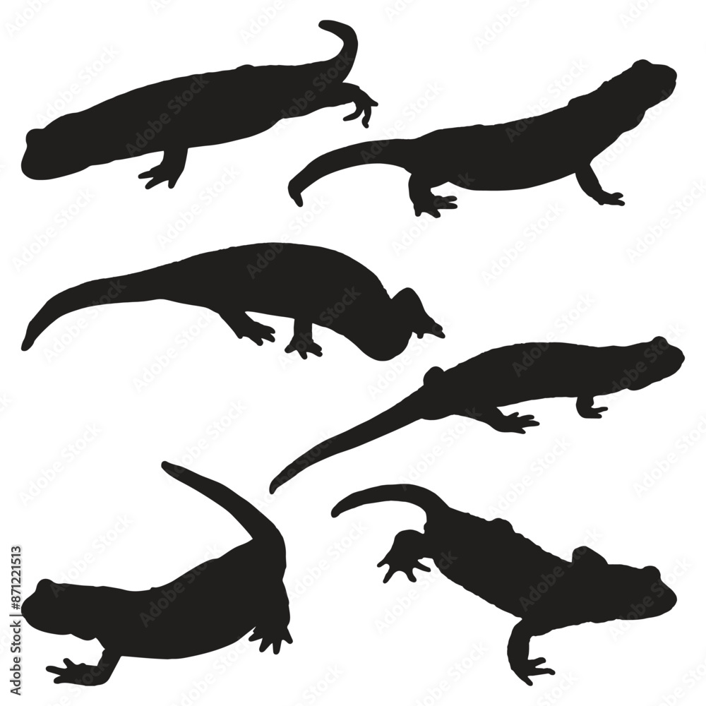 Naklejka premium Salamander Silhouette Vector Illustration Bundle