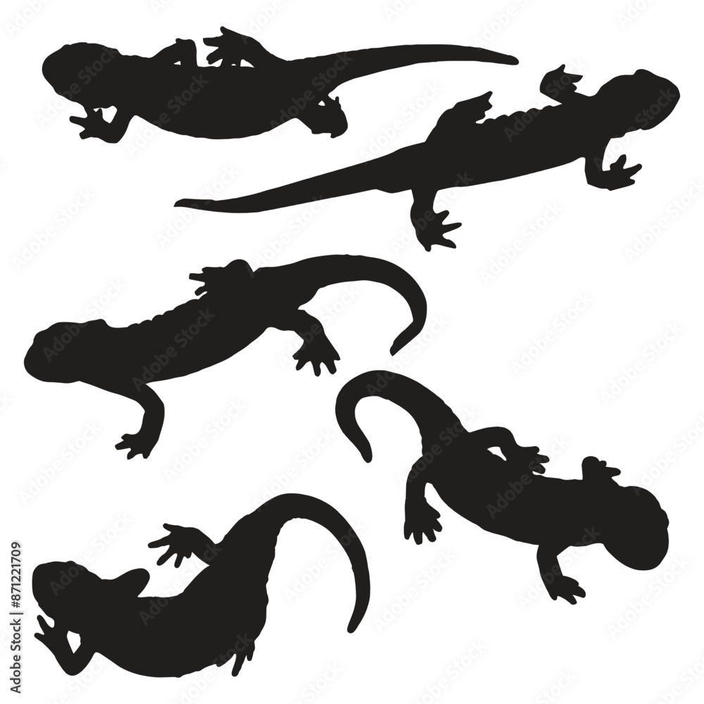 Naklejka premium Set of Salamander Silhouette Vector Illustration
