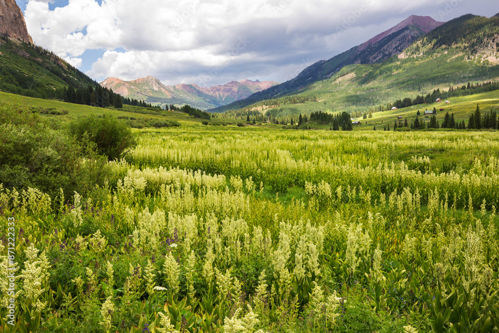 Mountains meadow Mountains meadow