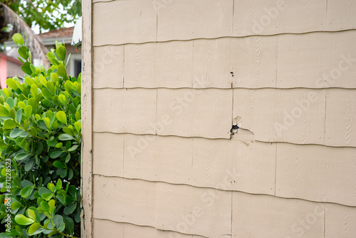 Fotografie Asbestos transite siding or panel on house exterior wall.