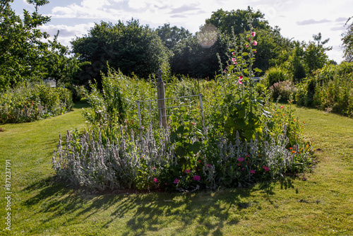 Various flowers in a well-kept garden