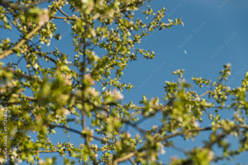 Spring Pattern Texture Minimalistic View Spring Pattern Texture Minimalistic View