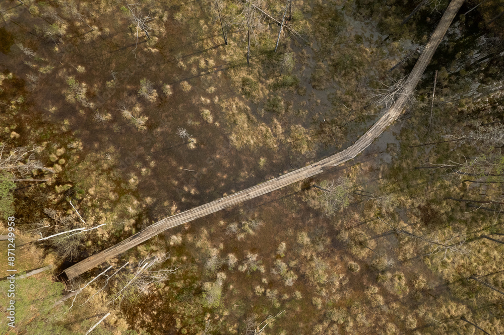 Aerial View Of Footbridge In The Swamp Aerial View Of Footbridge In The Swamp