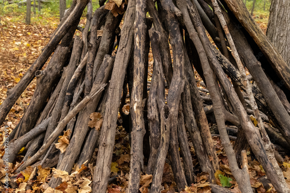 Handmade forest shelter constructed with sticks - nestled among trees - autumnal woodland setting - carpeted with fallen leaves. Taken in Toronto, Canada. Handmade forest shelter constructed with sticks - nestled among trees - autumnal woodland setting - carpeted with fallen leaves. Taken in Toronto, Canada.