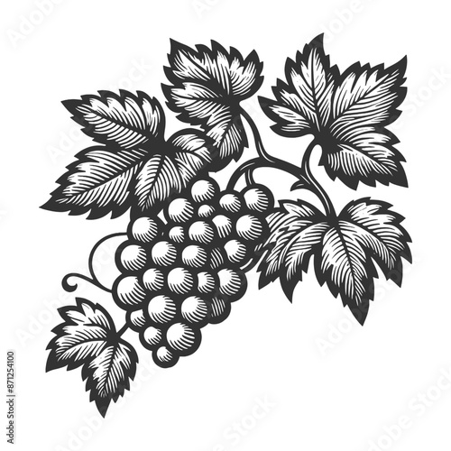 grape cluster with vine leaves, the natural beauty and intricate design of vineyard elements sketch engraving generative ai vector illustration. Scratch board imitation. Black and white image.