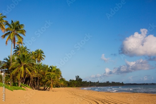 Beach Near Luquillo photo