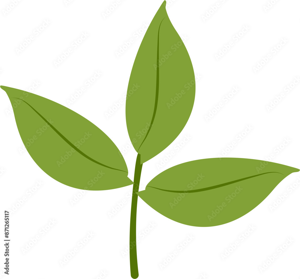 Flower Illustration. Spring flower. Flower Illustration. Spring flower.