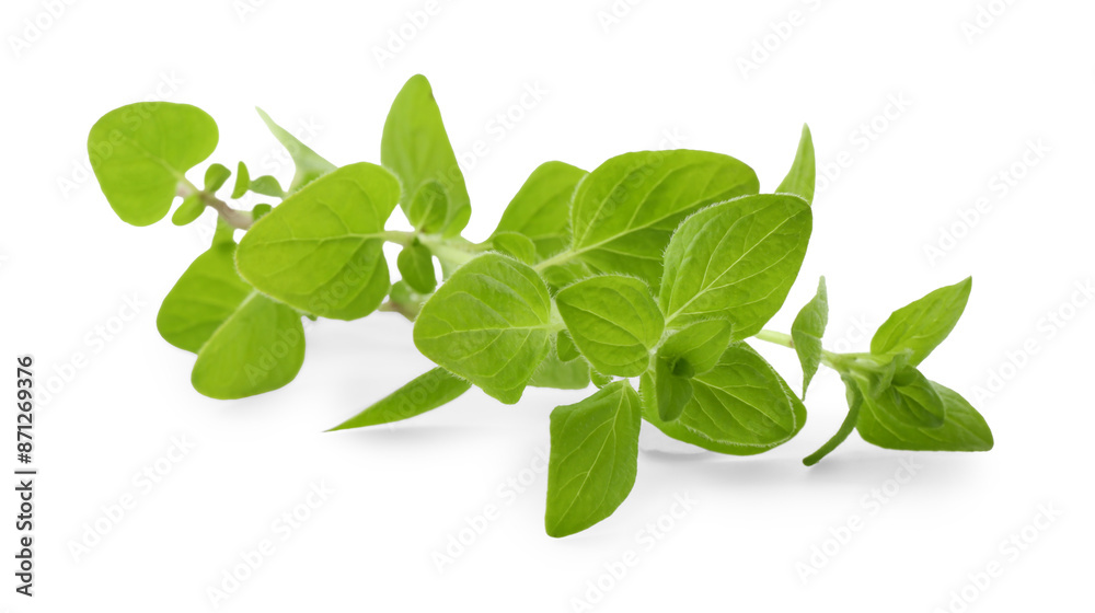 Sprig of fresh green oregano isolated on white Sprig of fresh green oregano isolated on white