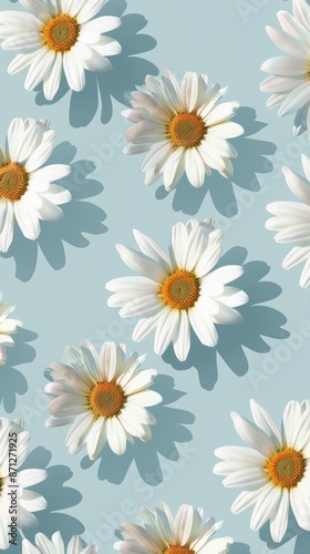 Daisy flowers scattered on light blue background, top view. Floral pattern and springtime concept