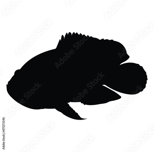 Oscar fish silhouette vector design. black and white.
