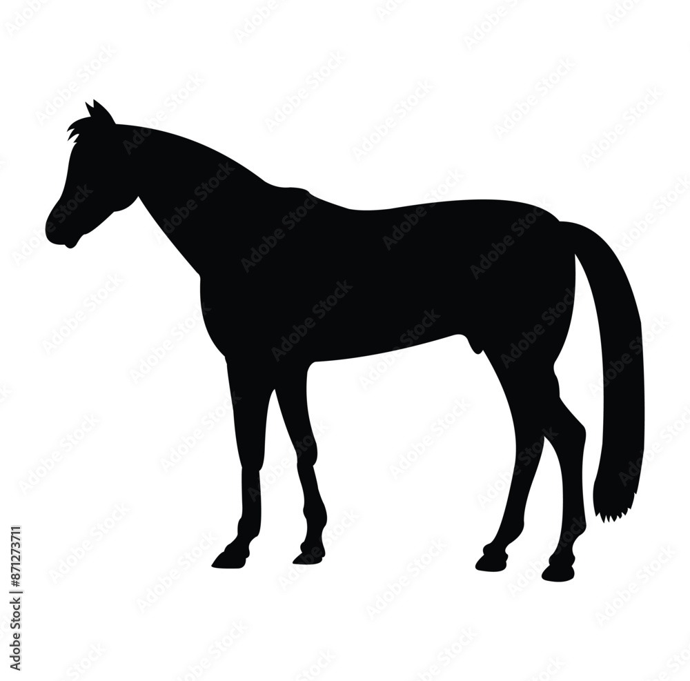 horse silhouette vector design. black and white. horse silhouette vector design. black and white.