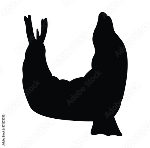 sea lion silhouette vector design. black and white.