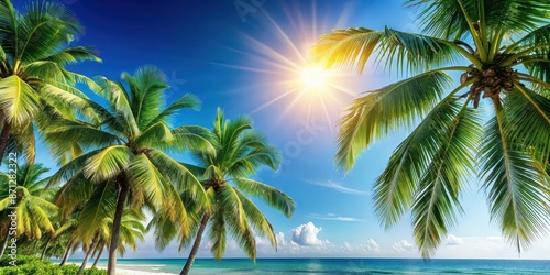 Tropical palm tree background perfect for summer vibes and island getaways, palm tree, tropical, background, beach, summer