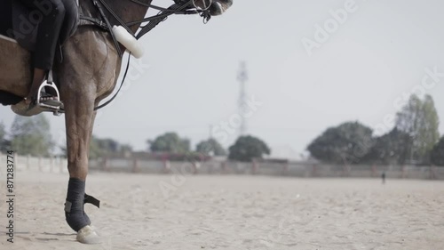 Standing Horse - Low Angle