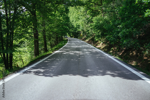 Tree lined road