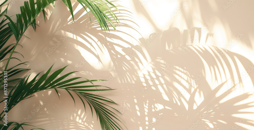 Shadow of Palm Leaves on White Wall in Sunlight, Soft Focus Tropical Plant Overlay for Summer Background, Minimal Blurred Natural Silhouette Texture