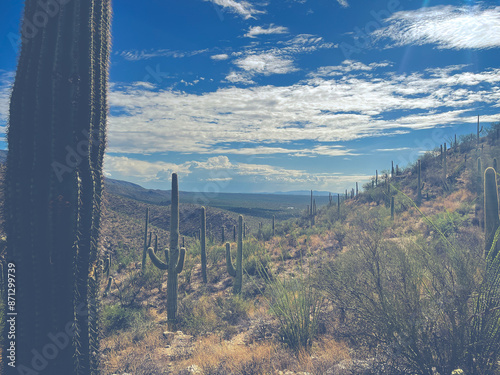 Tanque Verde, Arizona