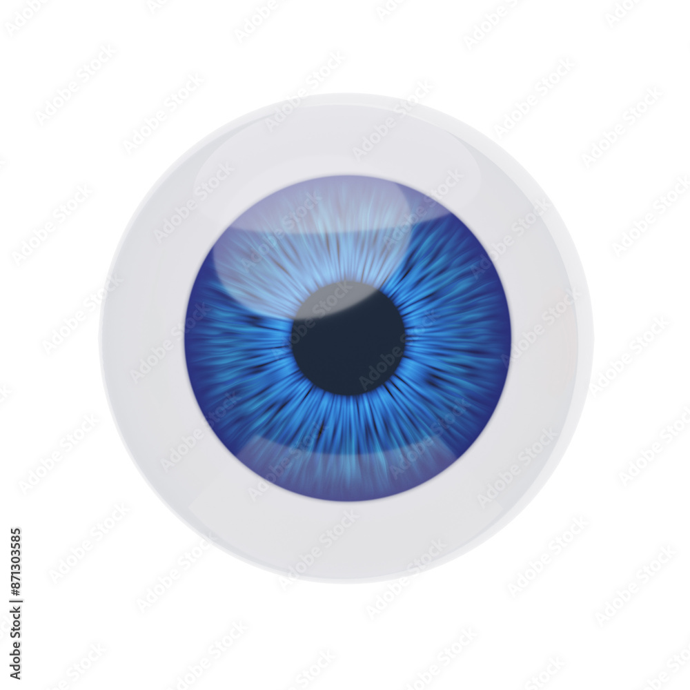3D Eyes sensory part that can see. 3D Icon 3D Eyes sensory part that can see. 3D Icon