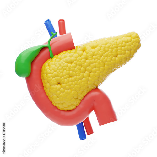 3D The pancreas produces insulin. 3D Icon