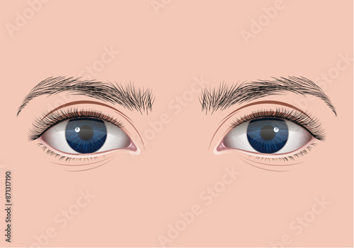 Female eyes with long eyelashes. Vector illustration on a pink background.