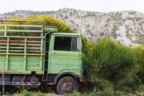Truck parked among the gorse photo