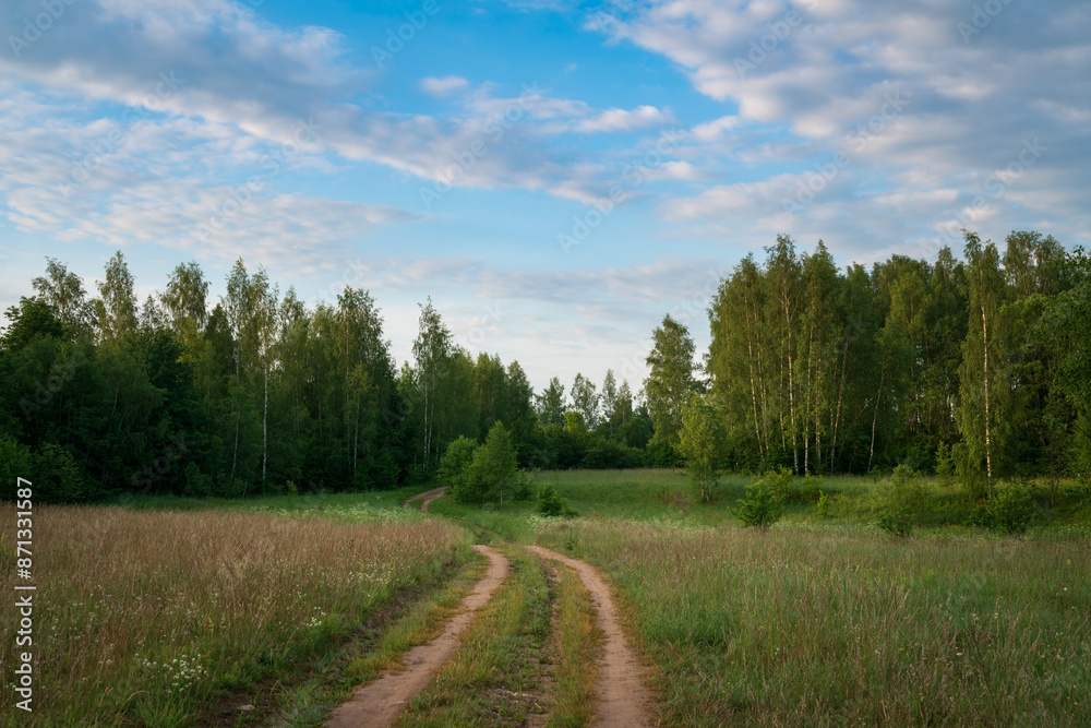 View of the country road through the Izborsko-Malskaya valley on a sunny summer morning, Izborsk, Pechersk district, Pskov region, Russia View of the country road through the Izborsko-Malskaya valley on a sunny summer morning, Izborsk, Pechersk district, Pskov region, Russia