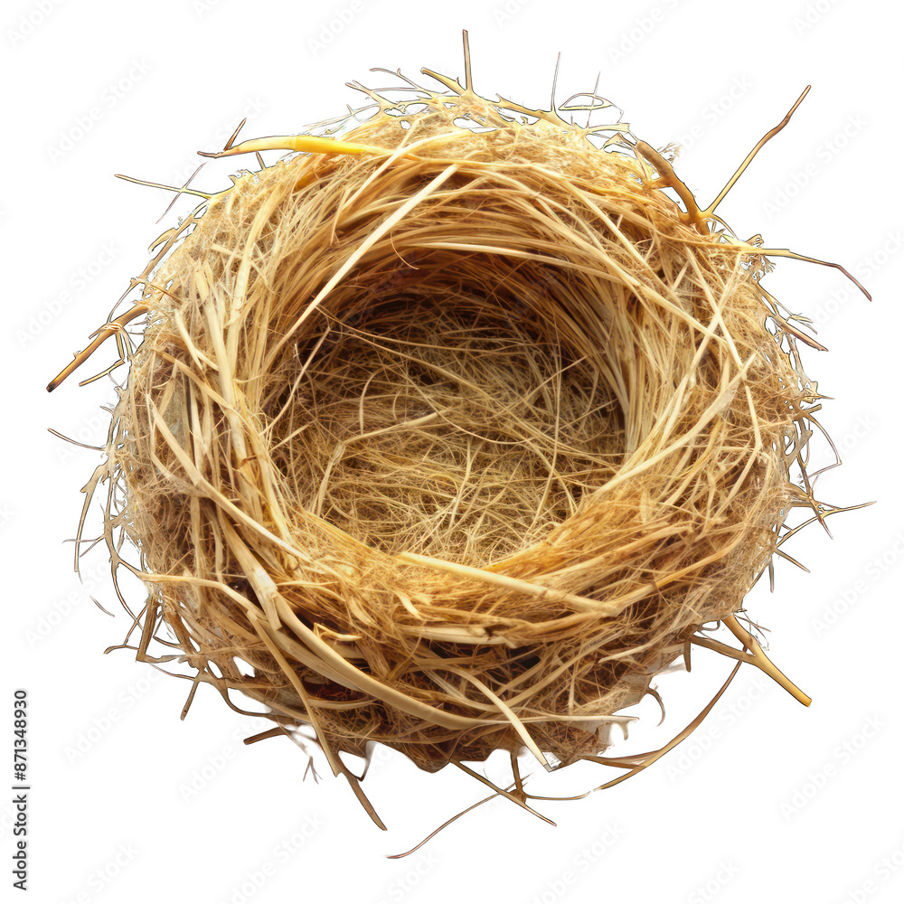 Obraz premium Empty nest made of hay isolated on transparent background