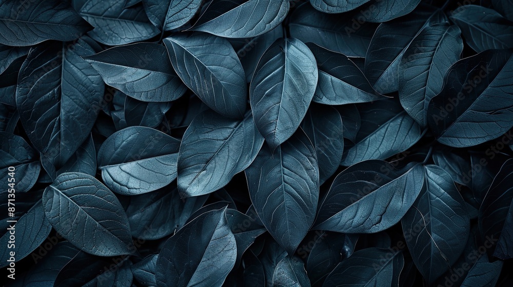 Dark Teal Leaves Texture Dark Teal Leaves Texture