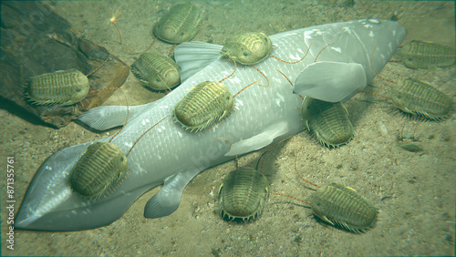 A 3D illustration of a group of the extinct Trilobite Paradoxides scavenging on a Coelacanth carcass 500 million years ago. photo