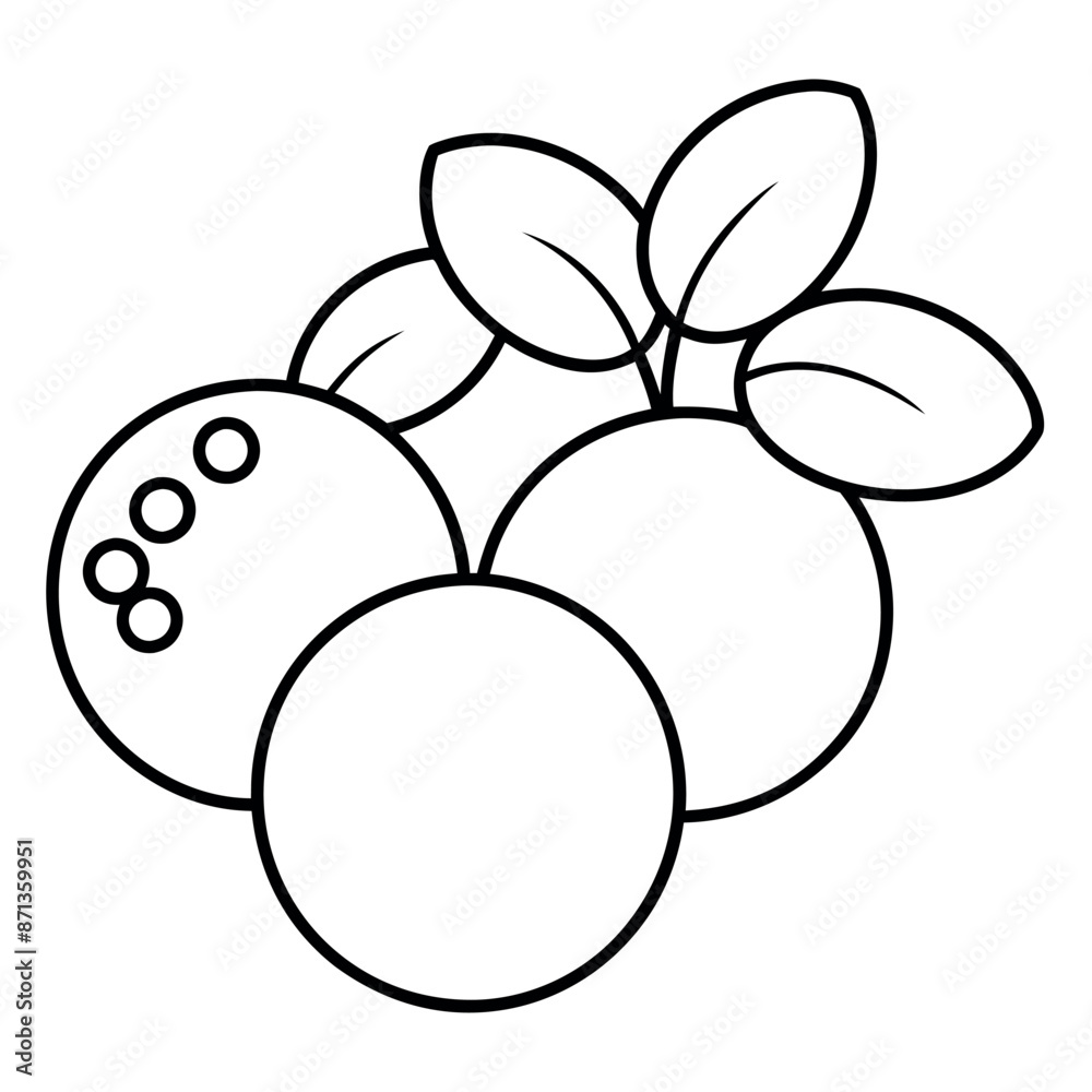 hand-drawn outline of a blueberry Fruits
hand-drawn outline of a blueberry Fruits