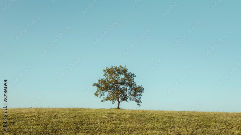 Serene Solitude: Lone Tree Standing Tall Against Clear Sky, Embracing Nature's Elegance and Minimalist Beauty