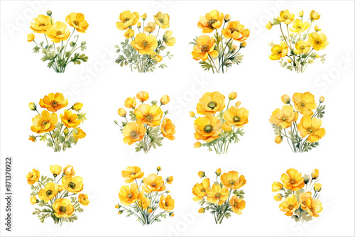 Buttercup Flower Artwork Vector Illustration