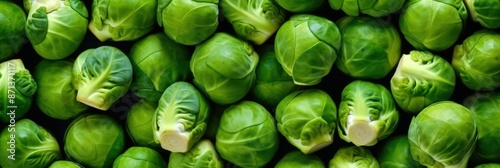 Fresh Green Brussels Sprouts